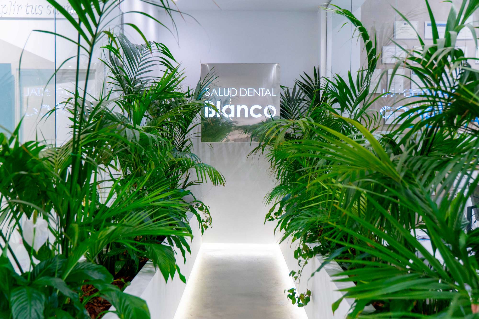 Clínica Salud Dental Blanco, implantología avanzada en Madrid