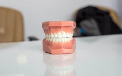 Cuántos dientes tenemos: guía completa de la dentición humana