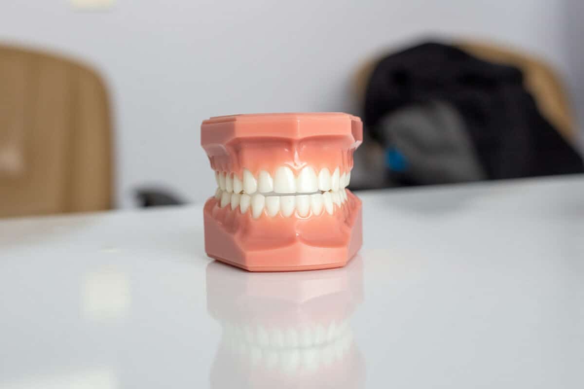 cuantos dientes tenemos cuantos dientes tenemos