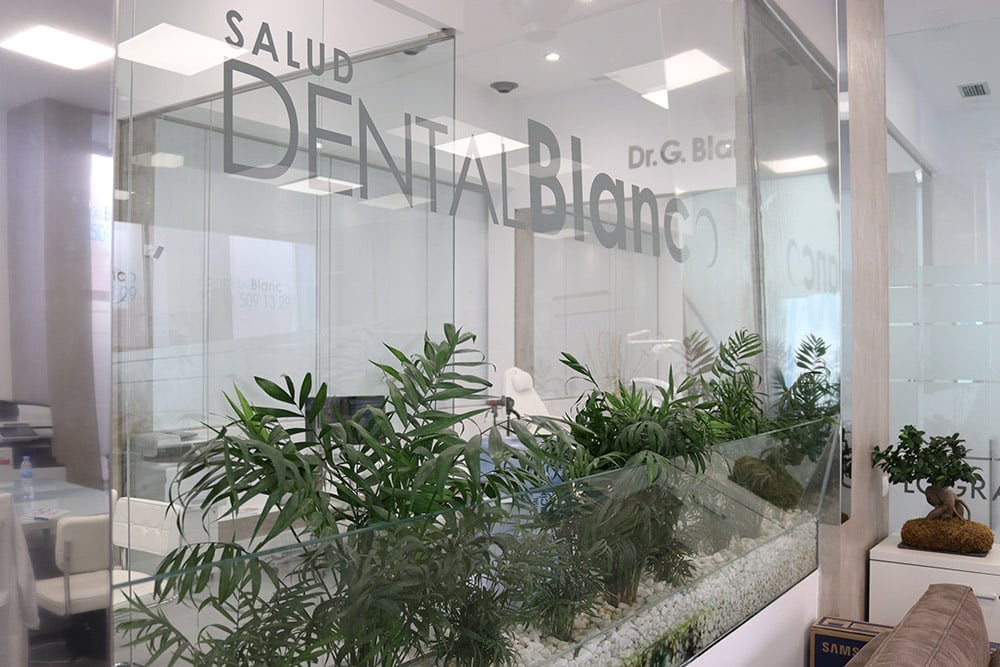 Odontología general en Madrid, Salud Dental Blanco